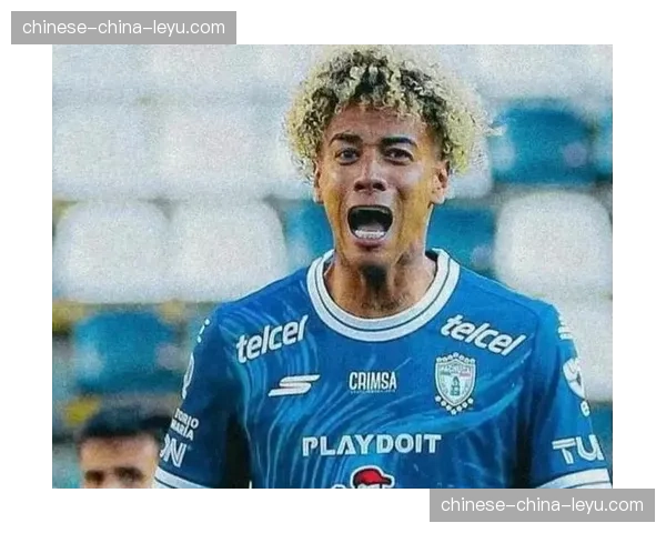 武汉三镇五外援总身价765万欧，负5分开局目标不止保级